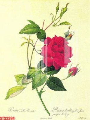 File ảnh Tranh sơn dầu phương tây tổng hợp STS3394 (gốc) cho trang trí nội thất