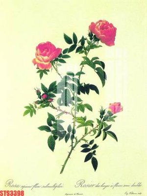 Tải file gốc Tranh sơn dầu phương tây tổng hợp STS3398 (bản PSD) gốc