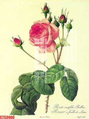 File ảnh Tranh sơn dầu phương tây tổng hợp STS3400 (gốc) cho trang trí nhà hàng