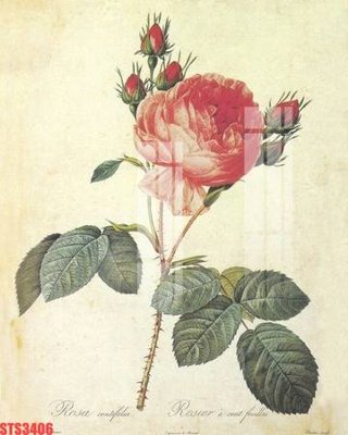 File ảnh gốc Tranh sơn dầu phương tây tổng hợp STS3406 không vỡ nét