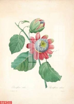 File gốc Tranh sơn dầu phương tây tổng hợp STS3419 (dành cho trang trí nội thất)