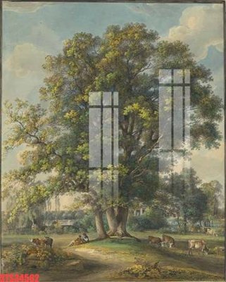 File gốc Tranh sơn dầu phương tây tổng hợp STS34562 (trang trí) cho phòng khách