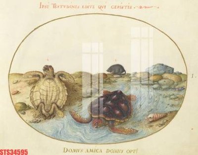 File in lụa Tranh sơn dầu phương tây tổng hợp STS34595 (hoa văn) Tranh sơn dầu phương tây tổng hợp STS34595