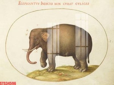 File tranh Tranh sơn dầu phương tây tổng hợp STS34596 (ảnh gốc) in trần xuyên sáng