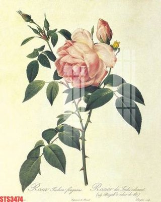 File gốc Tranh sơn dầu phương tây tổng hợp STS3474 (trang trí) phòng làm việc