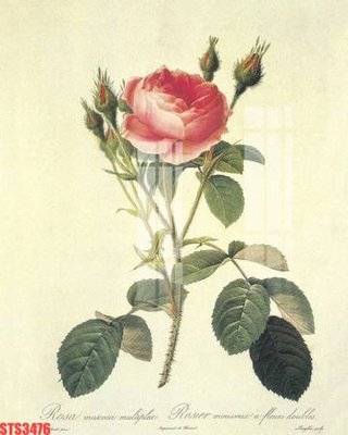 File in trần Tranh sơn dầu phương tây tổng hợp STS3476 (bản gốc 3D) sống động