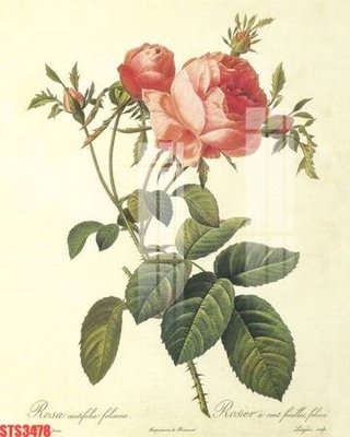 File tranh Tranh sơn dầu phương tây tổng hợp STS3478 (ảnh gốc) chi tiết rõ ràng