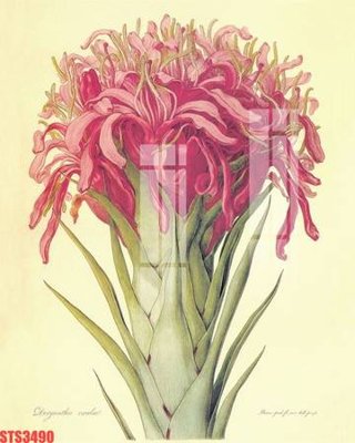 File tranh Tranh sơn dầu phương tây tổng hợp STS3490 (gốc) chủ đề tĩnh vật