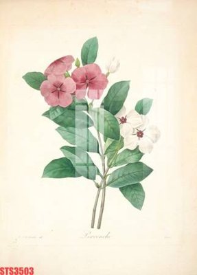 File gốc Tranh sơn dầu phương tây tổng hợp STS3503 (thiết kế) độc quyền