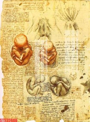 File tranh Tranh sơn dầu phương tây tổng hợp STS35686 (gốc) in vải canvas