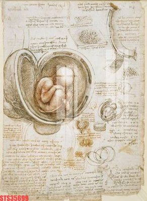 Download file Tranh sơn dầu phương tây tổng hợp STS35699 (chất lượng in ấn)