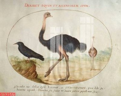 File ảnh Tranh sơn dầu phương tây tổng hợp STS35771 (gốc) in standee