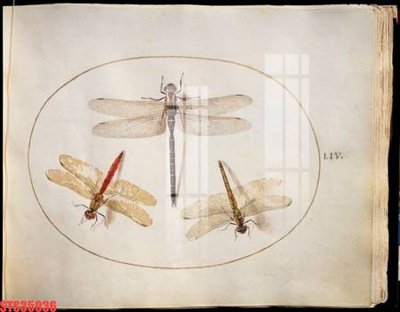 File tranh Tranh sơn dầu phương tây tổng hợp STS35936 (gốc) chủ đề tĩnh vật