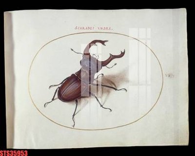 File gốc in ấn Tranh sơn dầu phương tây tổng hợp STS35953 (sẵn sàng tải về)