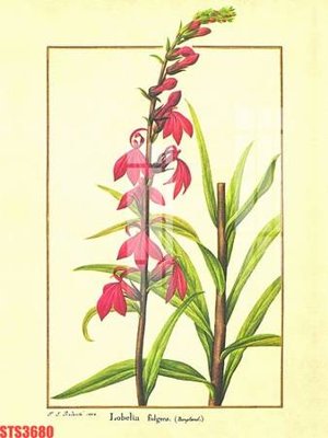 File tranh Tranh sơn dầu phương tây tổng hợp STS3680 (gốc) phong cách tối giản