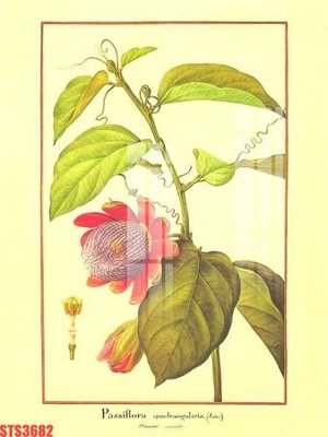 File PSD Tranh sơn dầu phương tây tổng hợp STS3682 (bản gốc) độ phân giải cao