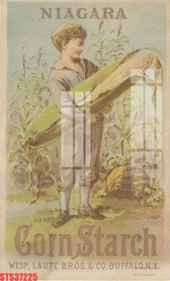 Tệp tin gốc Tranh sơn dầu phương tây tổng hợp STS37225 (chất lượng) Tranh sơn dầu phương tây tổng hợp STS37225