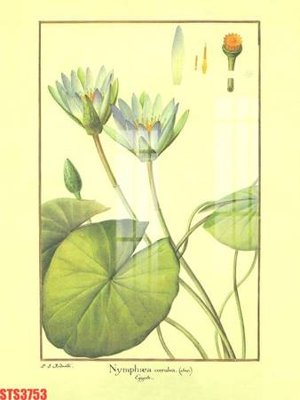 Tải xuống file tranh gốc Tranh sơn dầu phương tây tổng hợp STS3753 (PSD/TIFF)