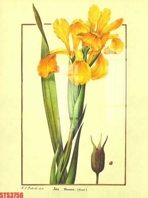 Download file Tranh sơn dầu phương tây tổng hợp STS3756 (chất lượng in ấn)