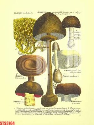 File tranh Tranh sơn dầu phương tây tổng hợp STS3764 (file gốc) chủ đề phong thủy