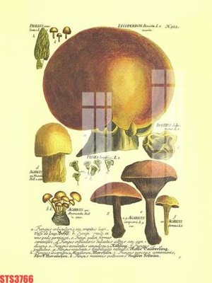 File ảnh Tranh sơn dầu phương tây tổng hợp STS3766 (gốc) in poster