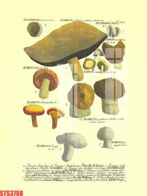 Tải file Tranh sơn dầu phương tây tổng hợp STS3768 (gốc) in ấn chất lượng