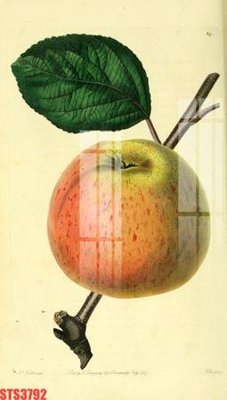 File ảnh gốc Tranh sơn dầu phương tây tổng hợp STS3792 (chuyên in mica)