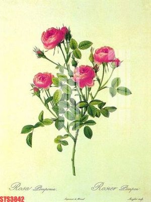 File gốc Tranh sơn dầu phương tây tổng hợp STS3842 (cho in 3D) độc đáo