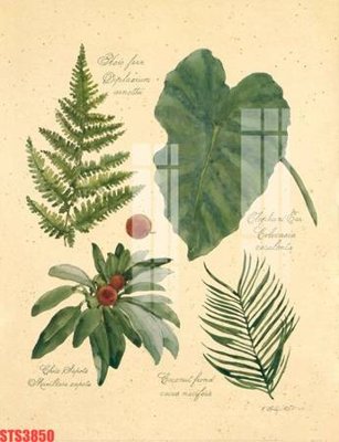 Ảnh gốc file in lụa Tranh sơn dầu phương tây tổng hợp STS3850 chi tiết