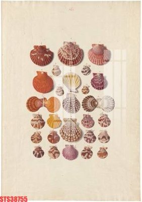 File tranh Tranh sơn dầu phương tây tổng hợp STS38755 (bản gốc) in canvas