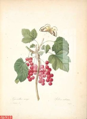 Download file tranh Tranh sơn dầu phương tây tổng hợp STS393 (file gốc PSD)