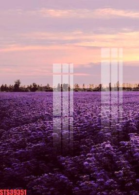 Tải file gốc Tranh sơn dầu phương tây tổng hợp STS39351 (in không vỡ ảnh)