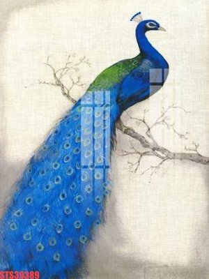 File tranh Tranh sơn dầu phương tây tổng hợp STS39389 (bản gốc) treo phòng ăn