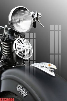 File gốc Tranh sơn dầu phương tây tổng hợp STS39404 (in lụa) chi tiết cao