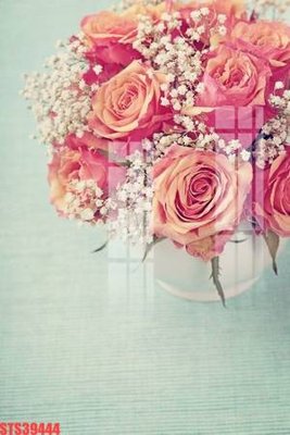 File tranh Tranh sơn dầu phương tây tổng hợp STS39444 (bản gốc) treo tường