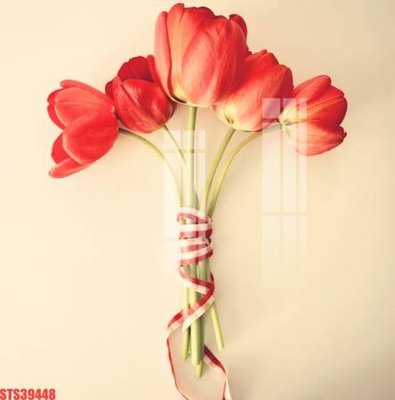 File tranh Tranh sơn dầu phương tây tổng hợp STS39448 (file gốc) chủ đề phong thủy