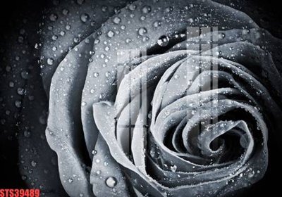 File ảnh Tranh sơn dầu phương tây tổng hợp STS39489 (gốc) in quảng cáo ngoài trời