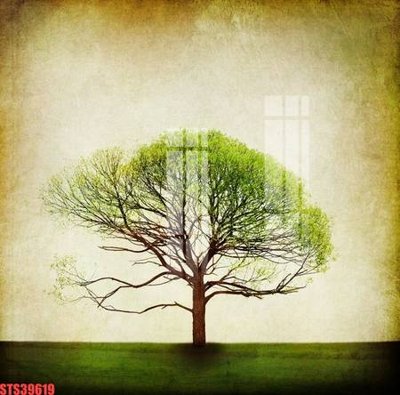 File ảnh Tranh sơn dầu phương tây tổng hợp STS39619 (gốc) trang trí khách sạn