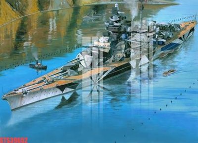 File tranh Tranh sơn dầu phương tây tổng hợp STS39652 (gốc) in film