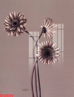 Mua file ảnh gốc Tranh sơn dầu phương tây tổng hợp STS39729 (chất lượng cao)