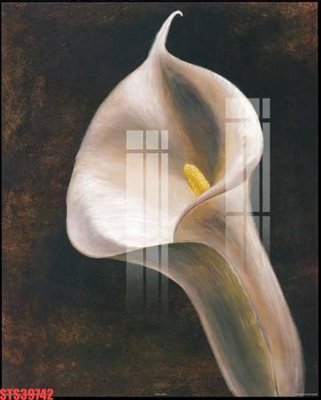 File gốc Tranh sơn dầu phương tây tổng hợp STS39742 (PNG) không nền chất lượng