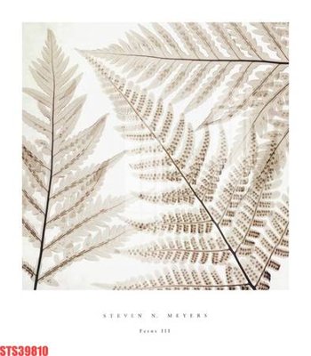 Tải file Tranh sơn dầu phương tây tổng hợp STS39810 (gốc) làm file thiết kế