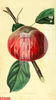 File tranh in trần Tranh sơn dầu phương tây tổng hợp STS399 (ảnh gốc siêu nét)