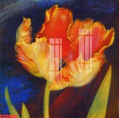 File in mica Tranh sơn dầu phương tây tổng hợp STS39960 (bản gốc) làm vách ngăn