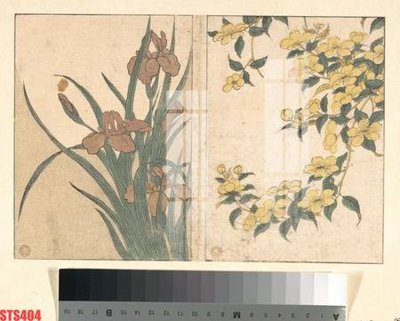 File gốc Tranh sơn dầu phương tây tổng hợp STS404 (cho in ấn) độc quyền