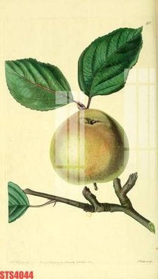 File gốc Tranh sơn dầu phương tây tổng hợp STS4044 (trang trí) phòng làm việc