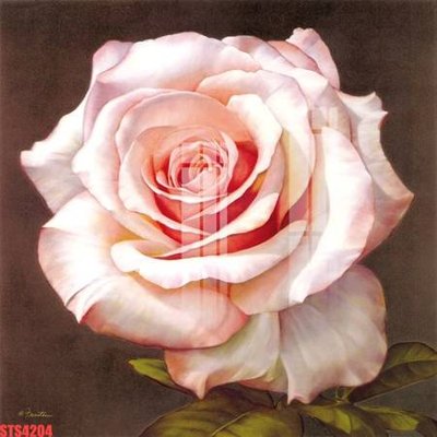 Download file gốc Tranh sơn dầu phương tây tổng hợp STS4204 (in lụa) nghệ thuật