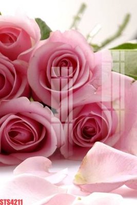 Tải file Tranh sơn dầu phương tây tổng hợp STS4211 (ảnh gốc) độ phân giải 300dpi