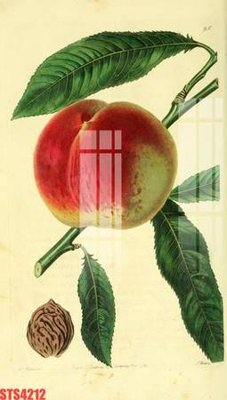 File tranh trang trí Tranh sơn dầu phương tây tổng hợp STS4212 (tải file gốc)