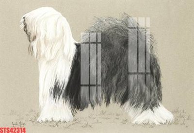 Ảnh gốc Tranh sơn dầu phương tây tổng hợp STS42314 (độ nét cao) in mica